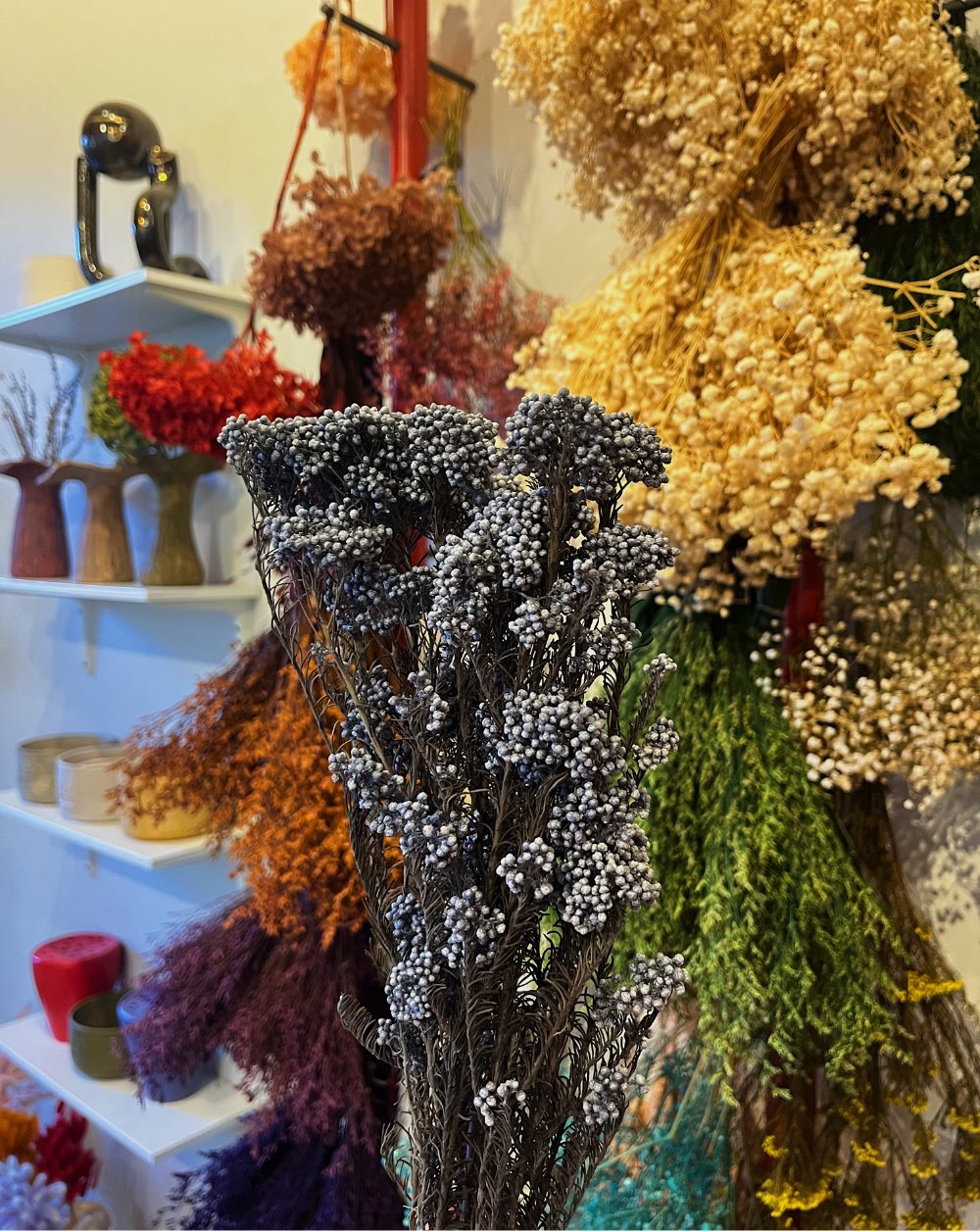 Rice Flower Gris