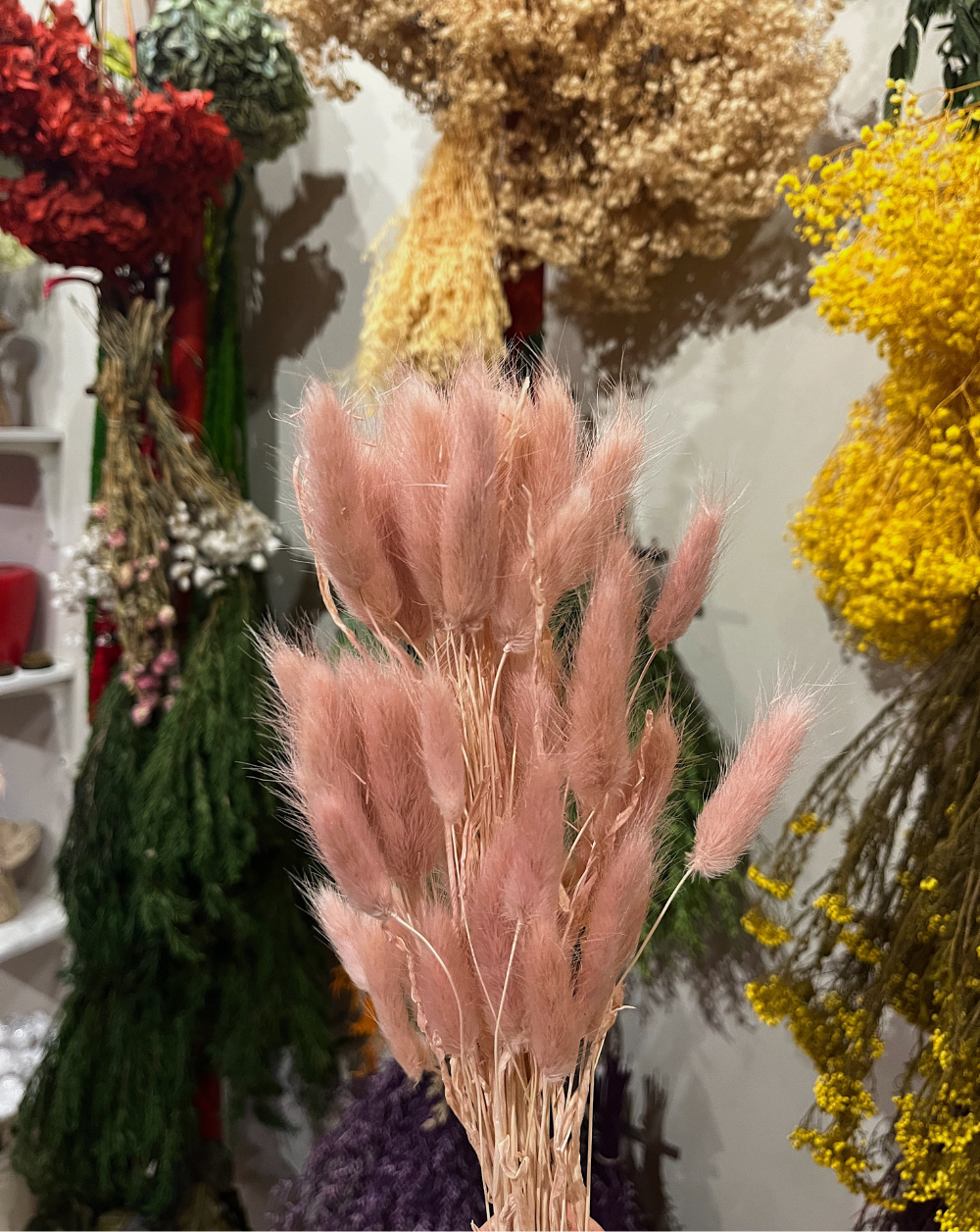 Colitas de conejo Rosa Viejo Claro