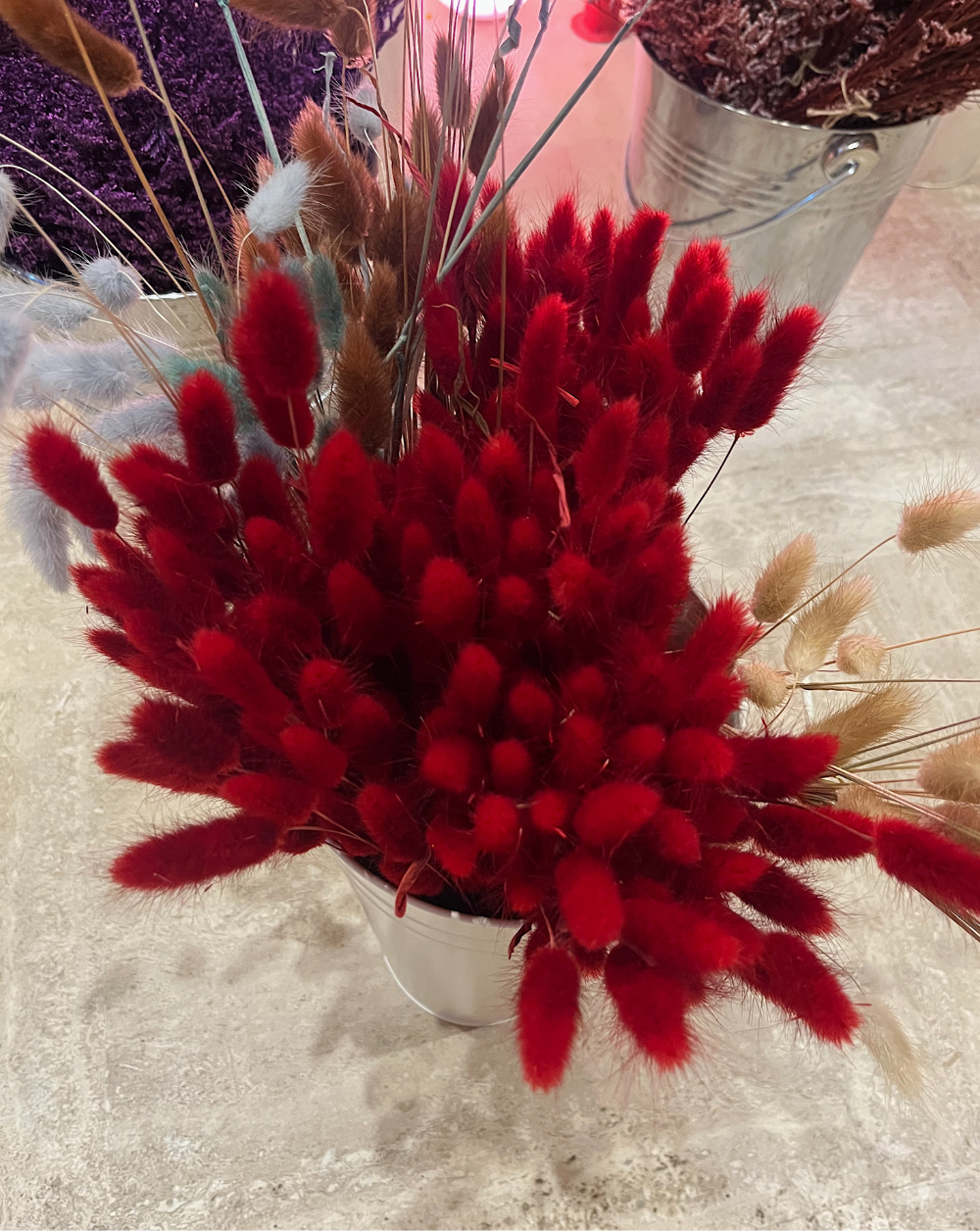 Colitas de conejo rojas