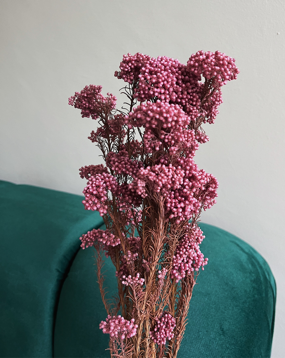 Rice Flower Rosadas