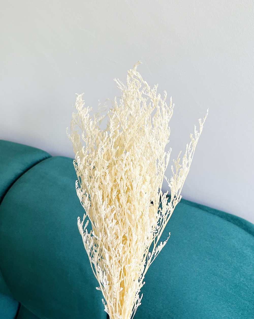 Caspia Blanca