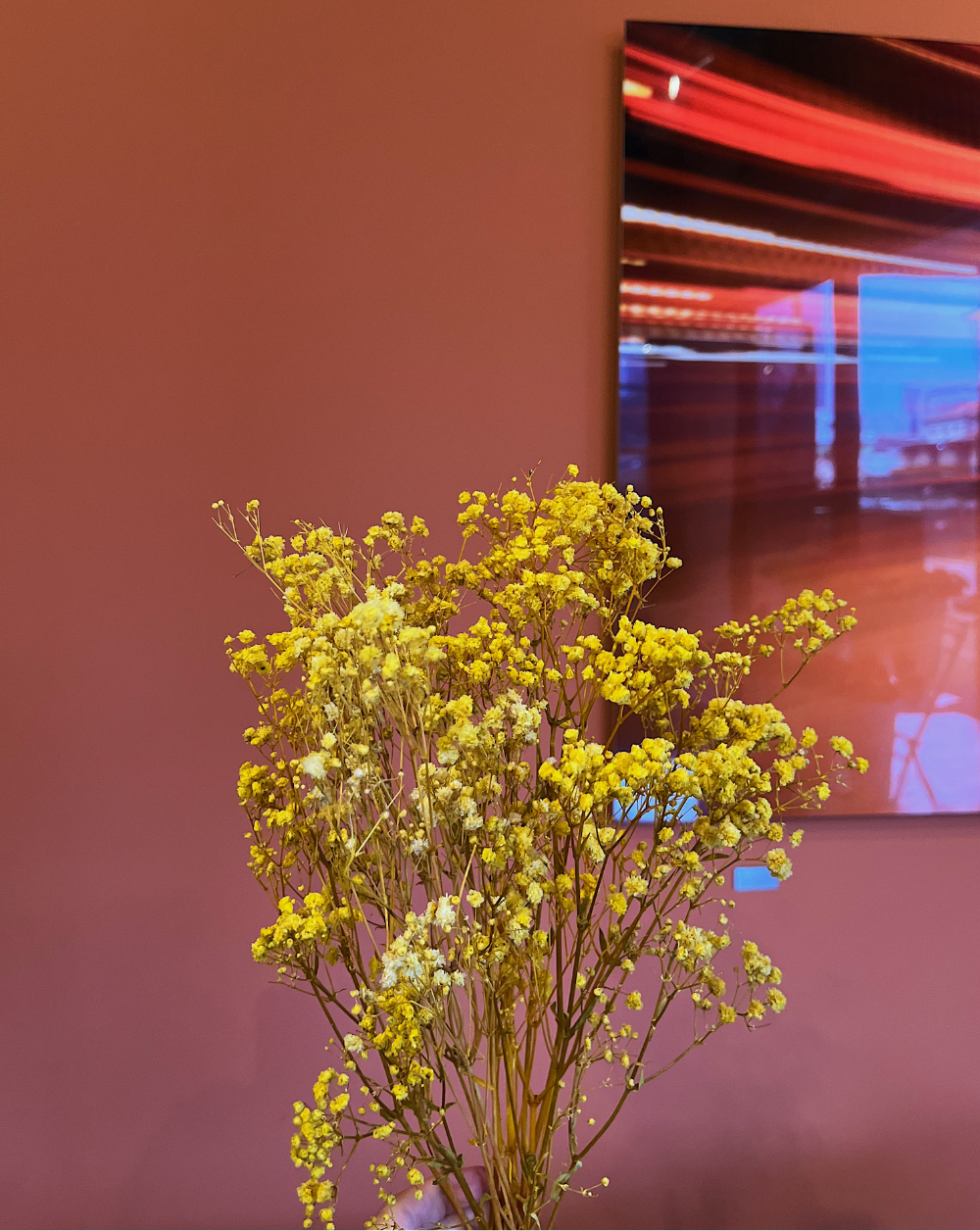 Gypsophilas Amarillas