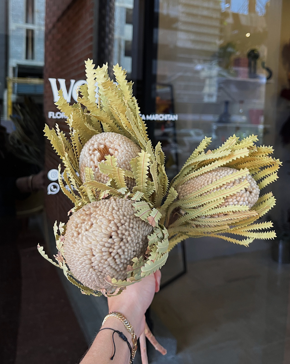 Banksia Beige Clásica