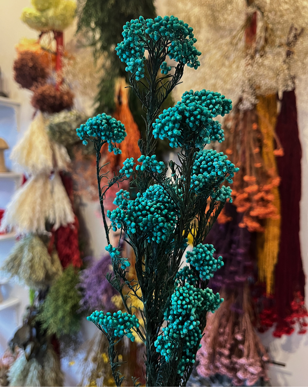 Rice Flower Turquesa