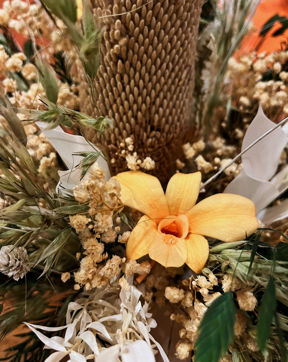 Orquidea Preservada color peach
