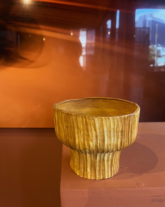 Fungi Centerpiece color Mostaza