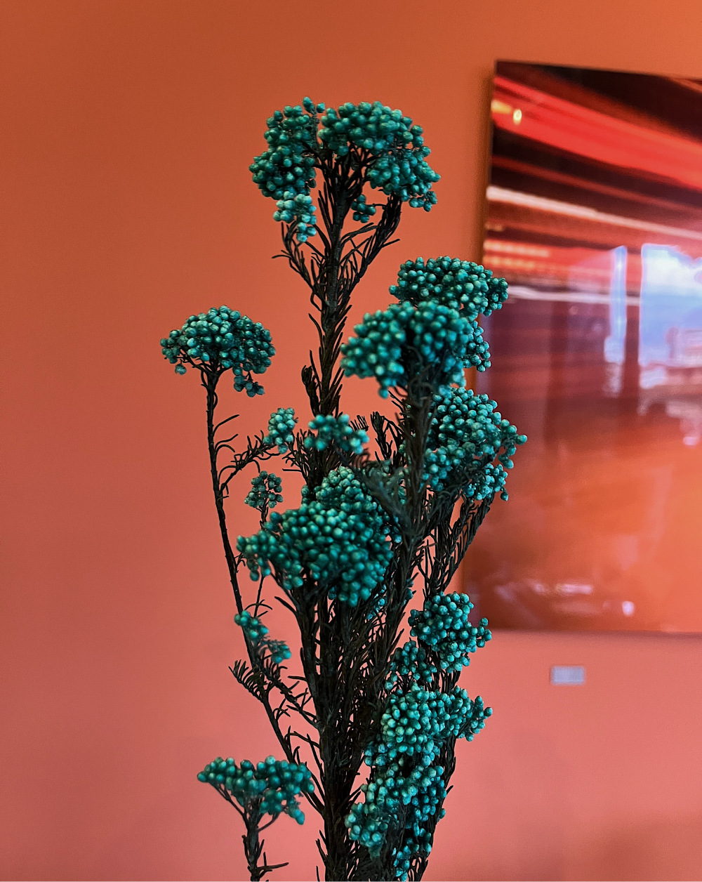 Rice Flower Turquesa