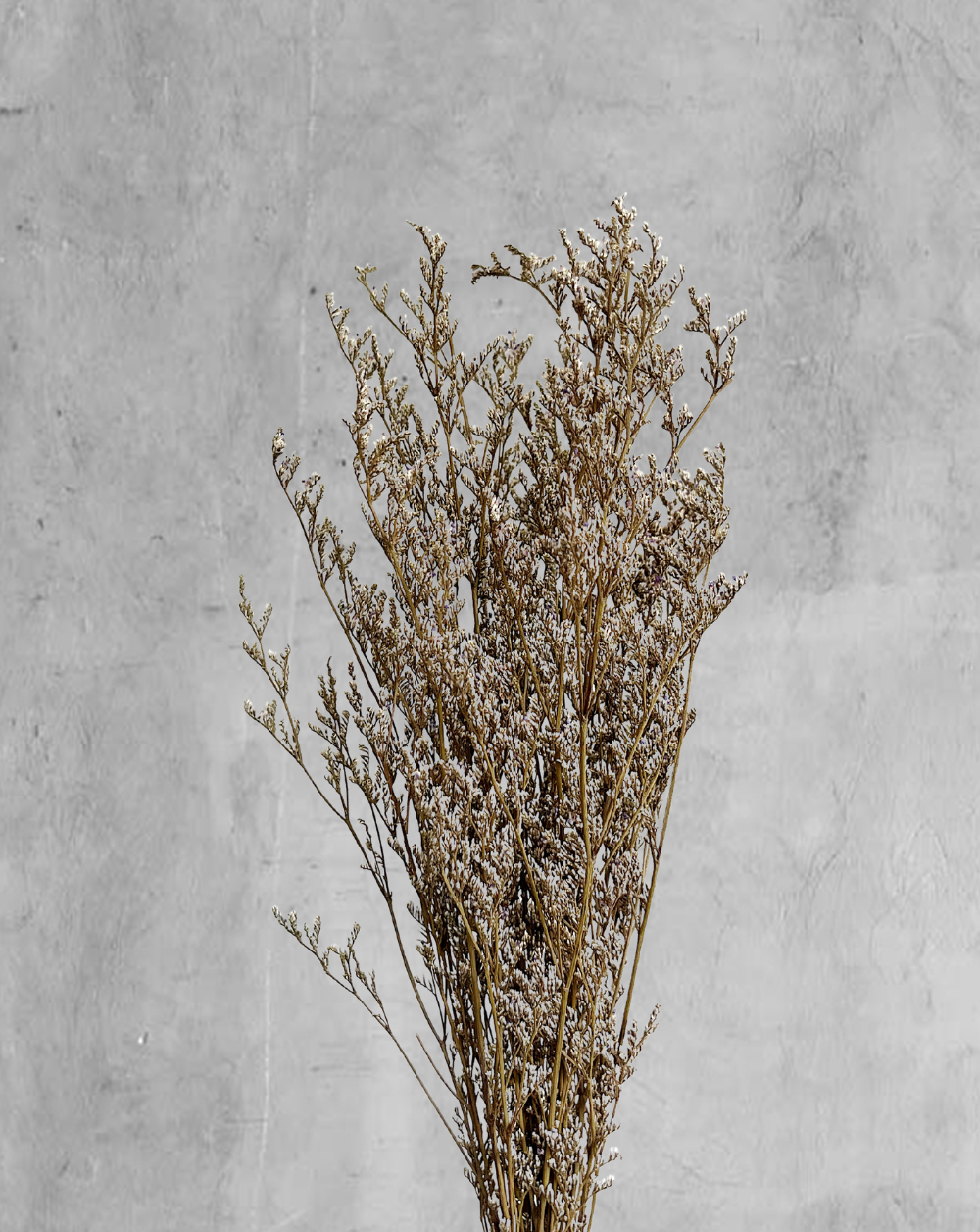 Caspia Natural