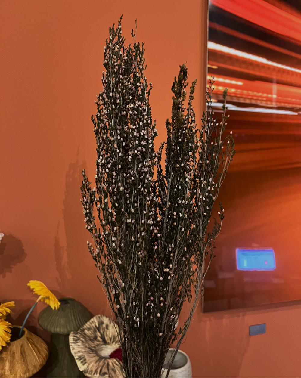 Heather Grass Rosado