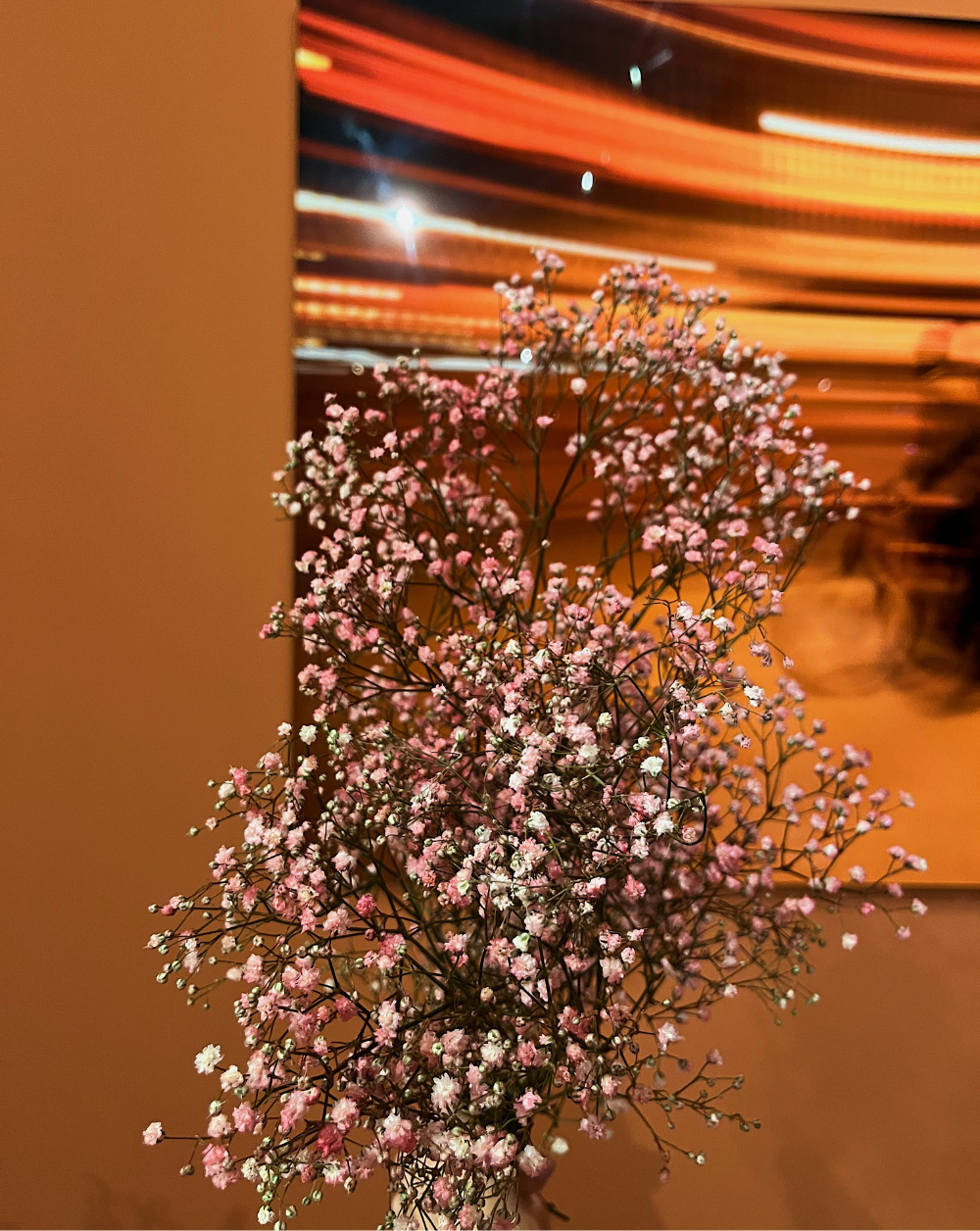 Gypsophilas Rosadas