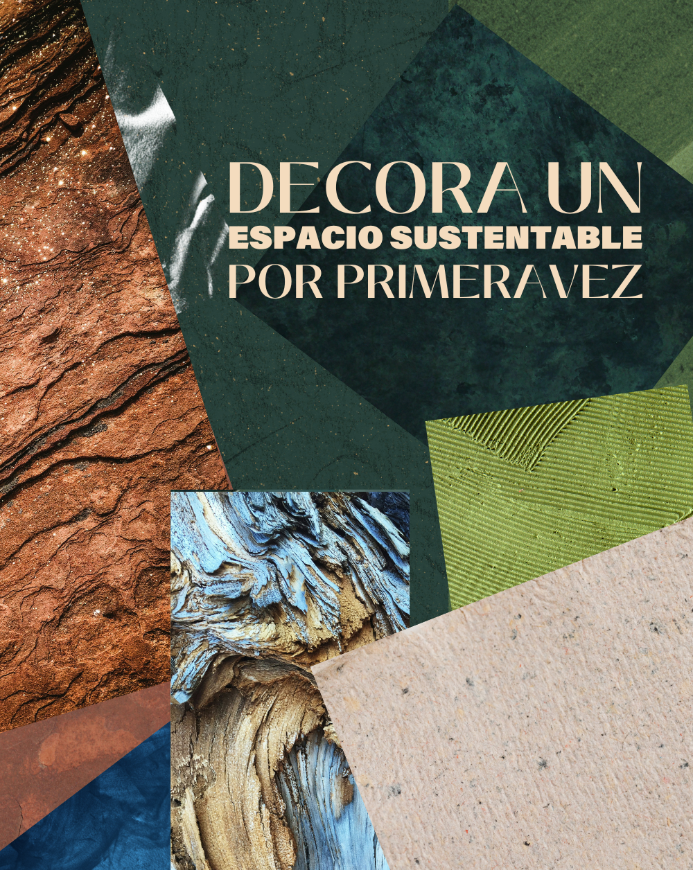 Decora un espacio sustentable por primera vez