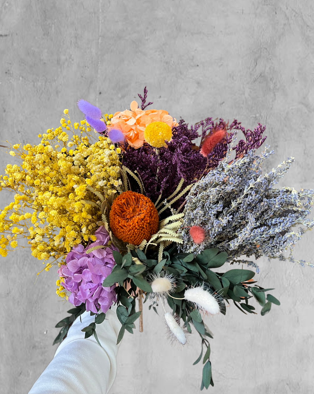Lavanda