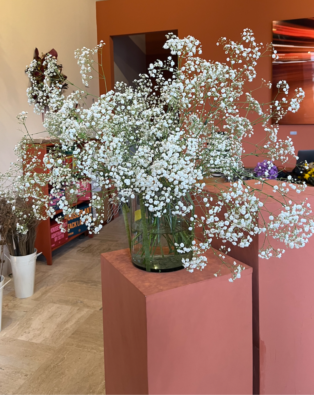 Gypsophilas Blancas