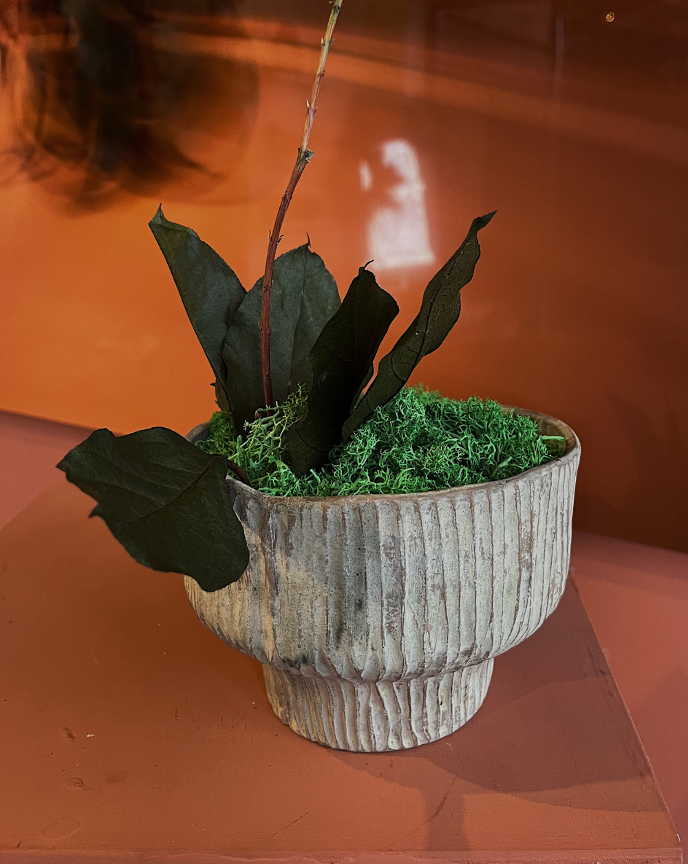Fungi Centerpiece color Gris