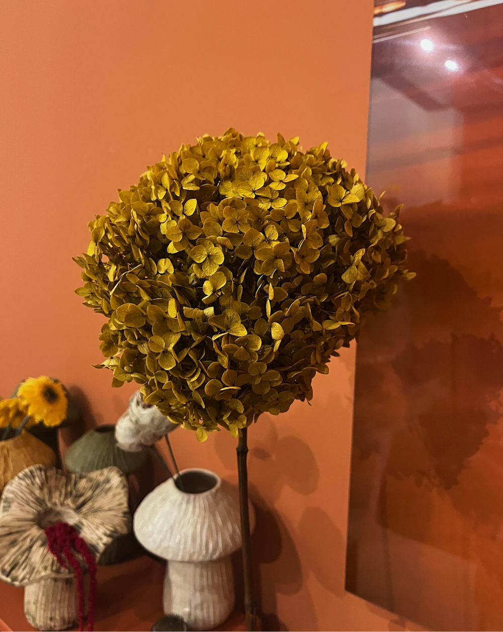 Hortensia Mostaza Talla M